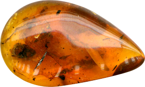 Polished teardrop of golden amber with small dark inclusions