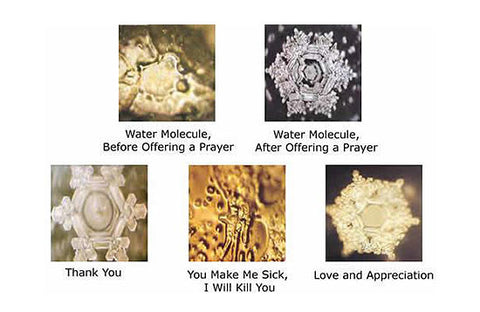 Emoto water crystal photos labeled before and after a prayer, Thank You and Love and Appreciation