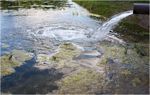 Pipe discharging wastewater into a pond with algae-covered shallows