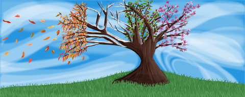 Illustrated tree on a grassy hill with branches showing autumn, bare winter, summer and spring blossoms