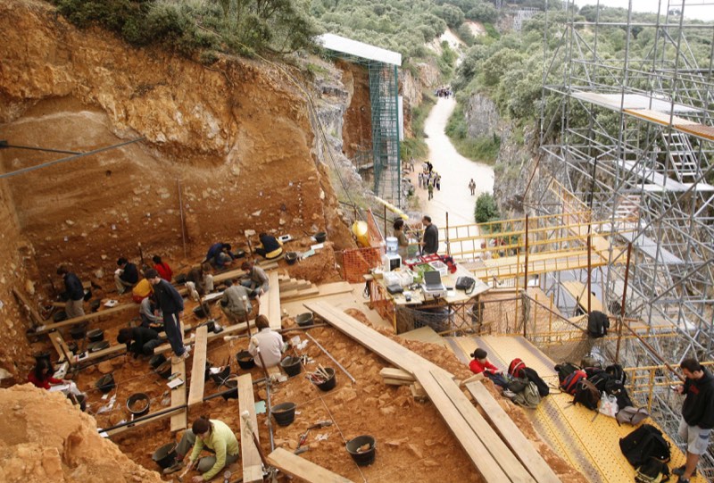 Does This 400,000-Year-Old Bone Reveal The Origins Of Our Species?