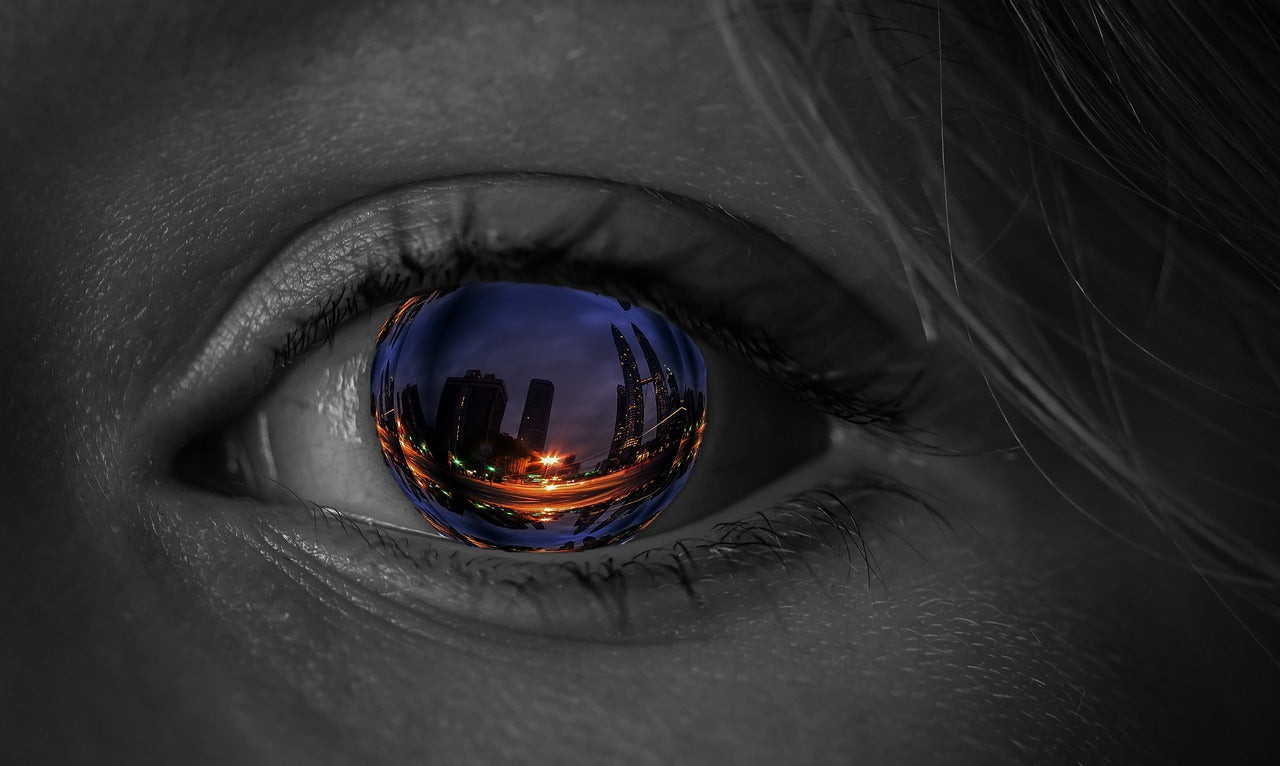 We Create Our Own Reality