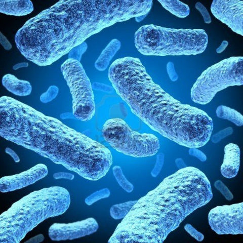 3D illustration of rod-shaped bacteria floating on a blue background