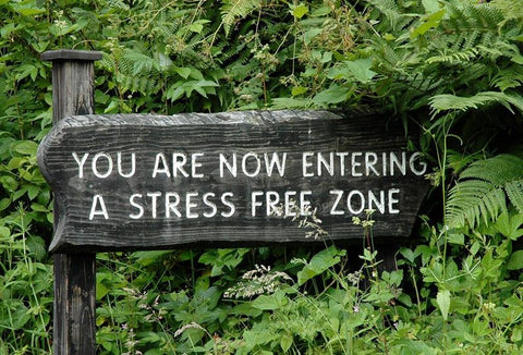 Wooden sign among ferns reading "You are now entering a stress free zone"