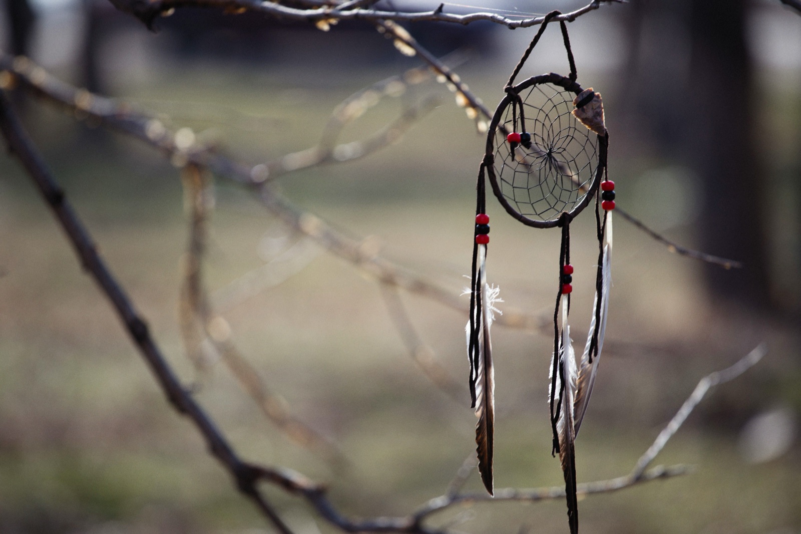 Dream Catcher Meaning: Where It Comes From and What It Is For