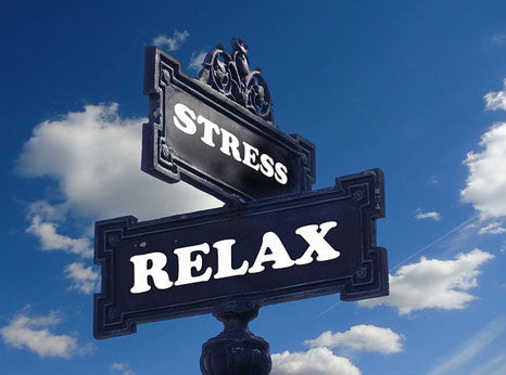 Street sign pointing two ways, one reading Stress and one reading Relax