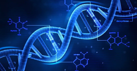 Blue DNA double helix with chemical structures of thymine, adenine and guanine